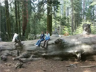 small_040521 caPICT4796.webp